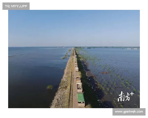 湖南洞庭湖区重点垸堤防加固工程正式开工 总投资元保障水安全(湖南省洞庭湖综合治理工程新闻发布会) 湖南洞庭湖区重点垸堤防加固工程正式开工 总投资元保障水安全(湖南省洞庭湖综合治理工程新闻发布会)